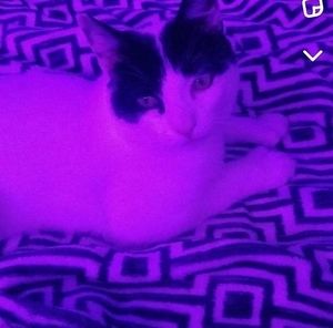 Meet your Posher, Chloe